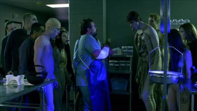 Штамм 1, 2, 3 сезон