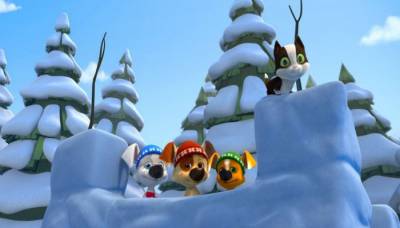 Белка и Стрелка Спортивная команда 2014 Белка и Стрелка Спортивная команда 2014