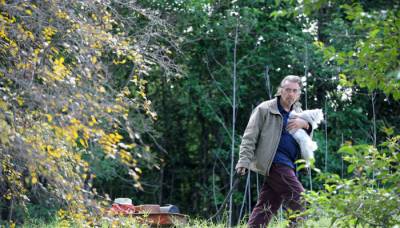 Манглхорн 2015