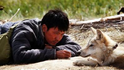 Тотем волка 2015 Тотем волка 2015