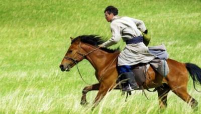 Тотем волка 2015 Тотем волка 2015