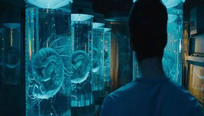 Бегущий в лабиринте 2 Испытание огнем 2015 Бегущий в лабиринте 2 Испытание огнем 2015